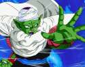 Piccolo2.jpg