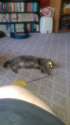 IMAG0159.jpg
