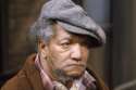 reddfoxx.jpg