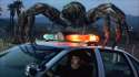 Eight-legged freaks.jpg