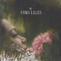 The Coma Lilies.jpg