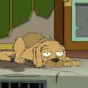 19-seymour-futurama.w529.h529.jpg