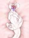 1277839926.fortuna_mika_-_bunny.jpg