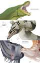 1350764755.beastofoblivion_snakedragons.jpg