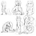 sergal.png