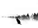 italian_soldiers_axis_stalingrad_1942.jpg