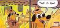 This is fine.jpg