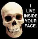 skull.jpg