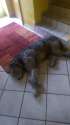 IMAG0399.jpg