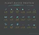 protein sources 5.png