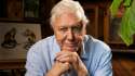 david-attenborough-birthday.jpg