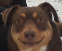 datface.jpg
