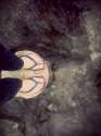 Brittany-Lane-Feet-3.jpg