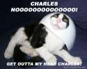 charles.jpg