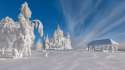 -winter.jpg