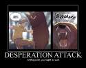 bearattack.jpg
