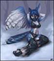 bee20d6de54b98cac79fdb48a796f845.jpg