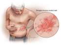 1-shingles.jpg