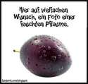 IMG-20160515-WA0006.jpg