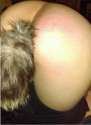 tail.jpg