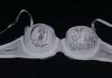 custom-nerd-bras-16.jpg