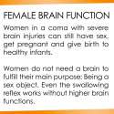 brain.jpg
