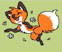 danish_fox.png
