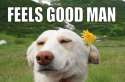 feels-good.jpg