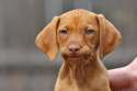 5732527236e63ef76f27fae1c49bcba70fb0e04352a1712315d23fc6d5e60185.jpg