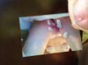 image (1).jpg