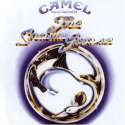 the snow goose- camel.jpg