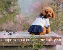 hope senpai notices.jpg