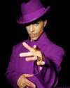 purple-24.jpg