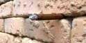 spotthehiddenobject.jpg