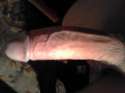20160208_070931.jpg