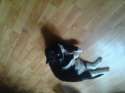 20160508_122449.jpg