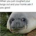 1415036038203.jpg