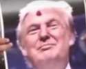 trump in the loo.jpg