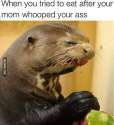 FB_IMG_1460580144492.jpg
