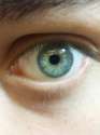 received_1120371621307788.jpg