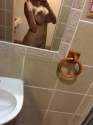 IMG-20141119-WA0078.jpg