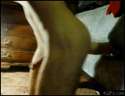 1407421774210.gif