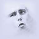 8fb.jpg