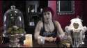 tumblr_inline_nq5cxceXo31qgp297_500.gif