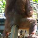 ss (2013-11-28 at 10.43.41).jpg