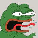 leAngryFrogMeme.png