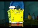 Sponge Knows.jpg