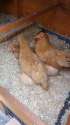 IMG-20160501-WA0000.jpg