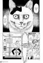 cat-diary4.jpg