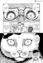 cat-diary11.jpg